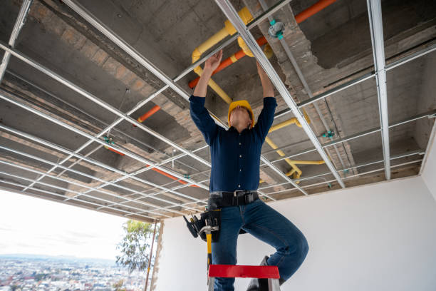 Best Emergency Plumber  in Alamae, NC