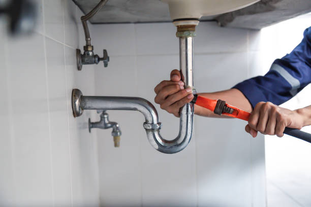 Best Plumbing Inspection Services  in Alamae, NC